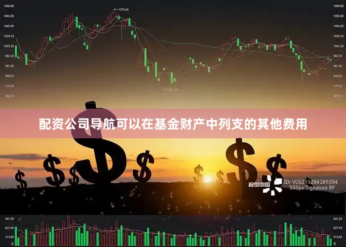 配资公司导航可以在基金财产中列支的其他费用