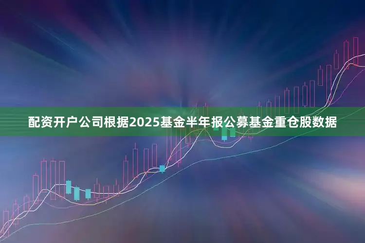 配资开户公司根据2025基金半年报公募基金重仓股数据